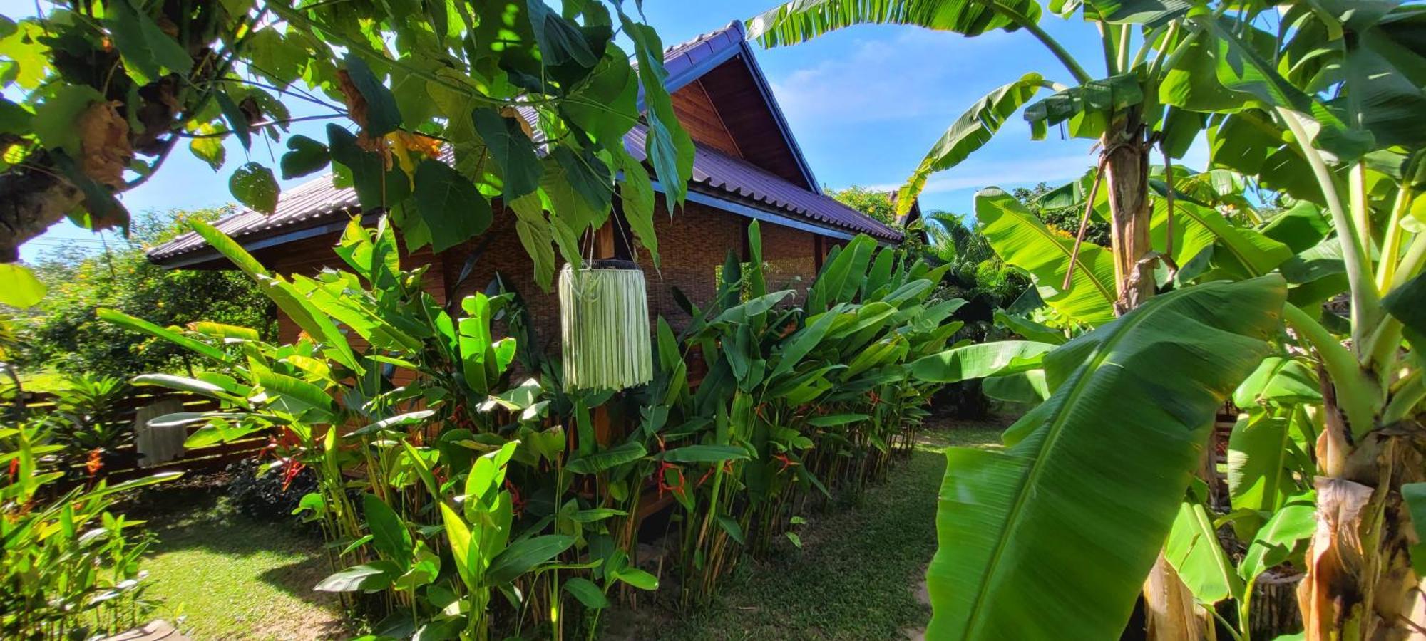 Samui Blue Bird Bed and Breakfast Mae Nam Exteriör bild