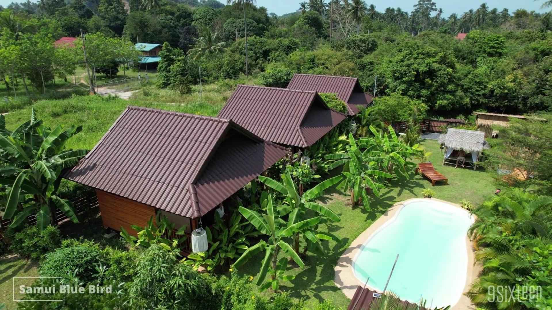 Samui Blue Bird Bed and Breakfast Mae Nam Exteriör bild